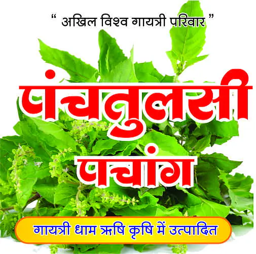 Tulsi Panchang (तुलसी पंचांग ) - Master
