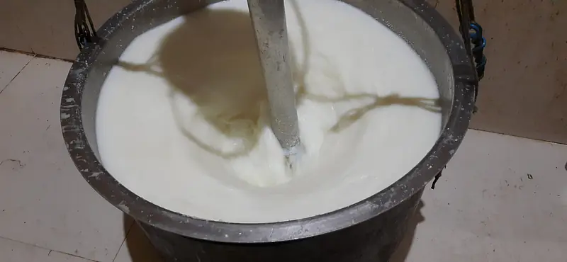 Cow Ghee 1 kg गाय का घी - Master