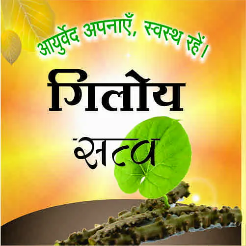 Giloy satav (गिलोय सत्व) - Master