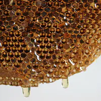 shahad Honey ( à¤¶à¤¹à¤¦) - Master