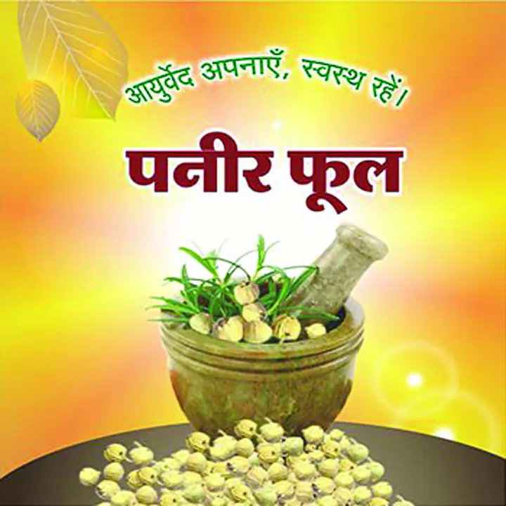 Panir Ful (पनीर फूल) - Master