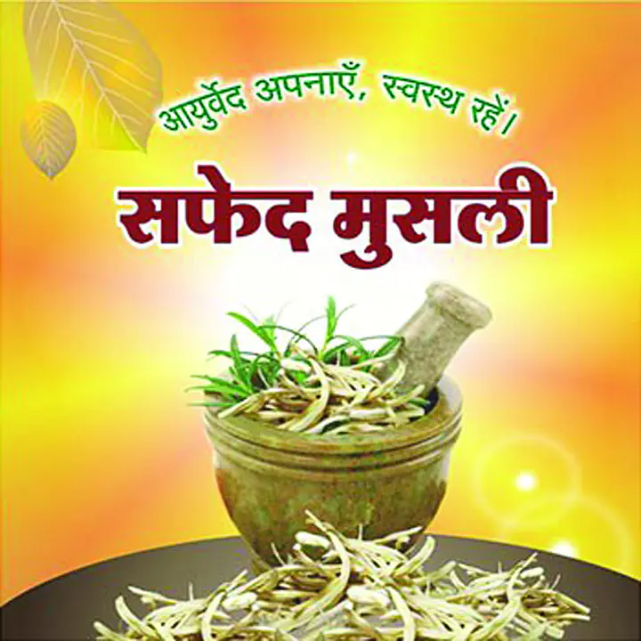 Safed musli Powdar (सफेद मुसली चूर्ण) - Master