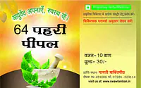 64 prahari pipal (64 प्रहरी पीपल) - Master