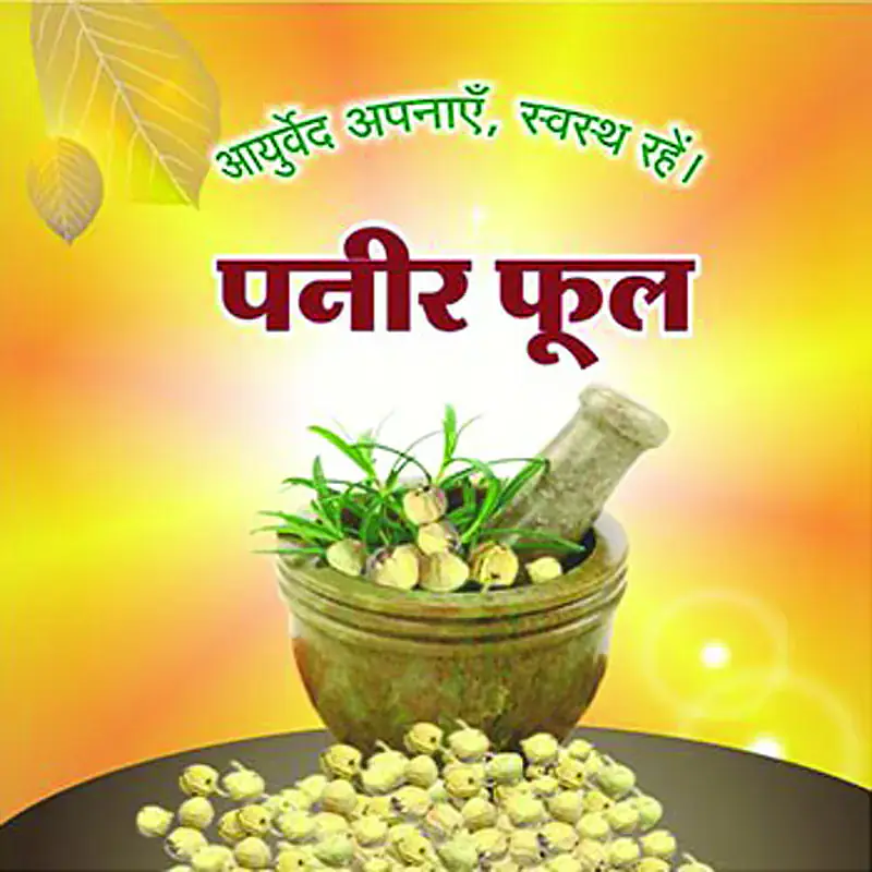 Panir Ful (पनीर फूल) - Master